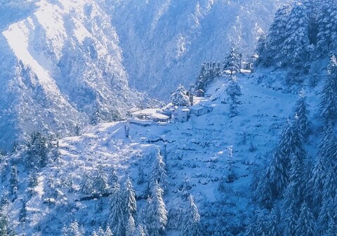 Green Forest Resorts