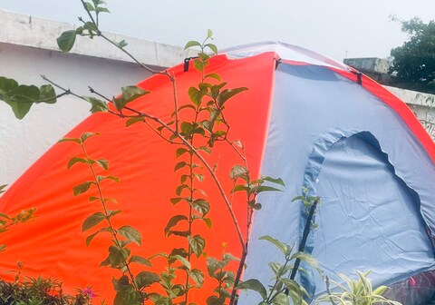 Earthy Sleep Under the Stars