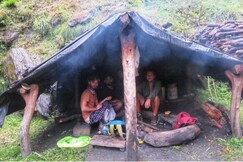The Himalayan Hearth Hostel, Manali The Himalayan Hearth Hostel, Manali