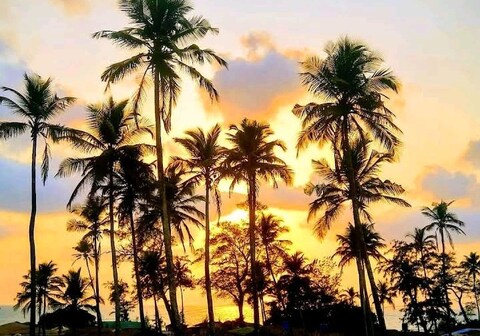 Chillies Arambol Beach Goa