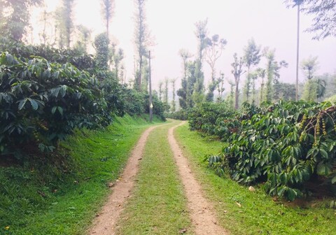 Serene Homestay | Entire 5 BHK Homestay