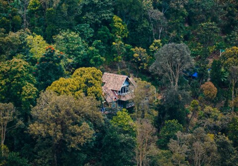 Munnar Glass Cottage