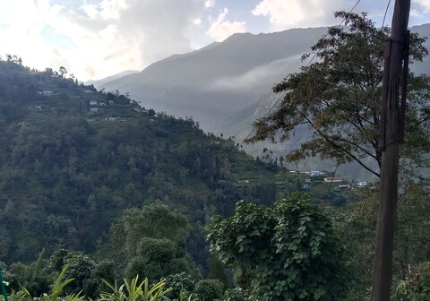 Palmajua Arivik Homestay