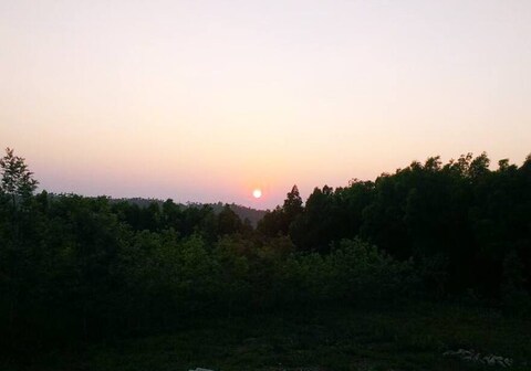 Top Farm Homestay Chikmagalur