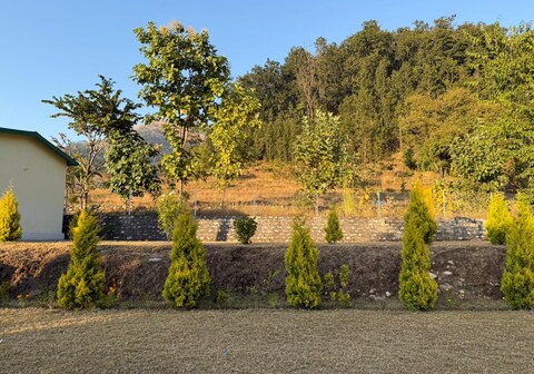 Winterline Luxry Homestay -Jim Corbett (Ramnagar)