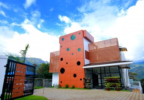 Palmtree Leaf Munnar