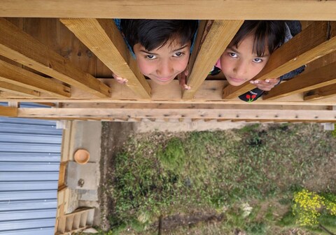 Majestic Treehouse Tandi with Cafe and Parking
