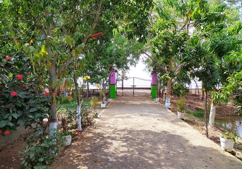 Estuarine Village Resort