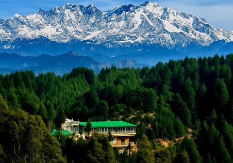 The Royals Apricot Garden