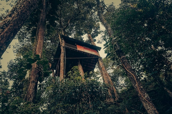 Ela Ecoland Nature Retreat 