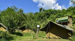 Wildwood Camping, Kullu Wildwood Camping, Kullu