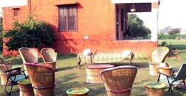 Golden Creepers Farm Holidays , Delhi Golden Creepers Farm Holidays , Delhi