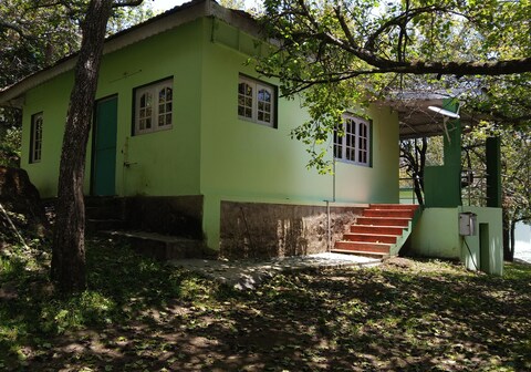 Tree Hut Cottage