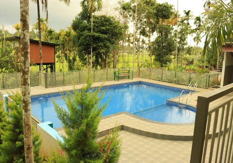 Paddy View Resort | Villas Near Muthanga Wild Life Sanctuary