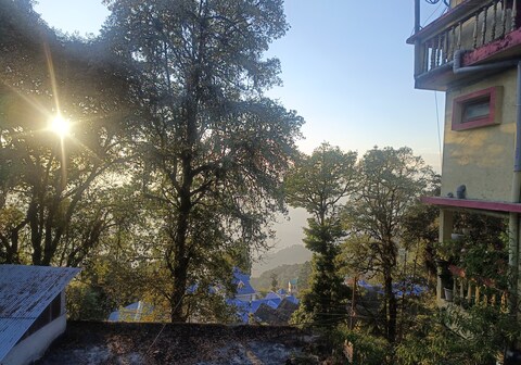 Shrubbery Homestay and Guesthouse