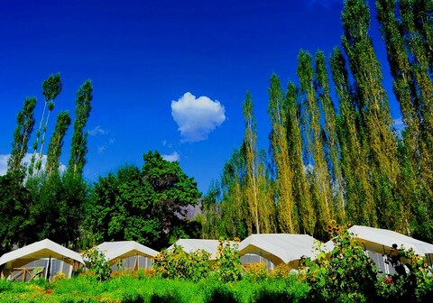 Skylark Camping & Nature Resort