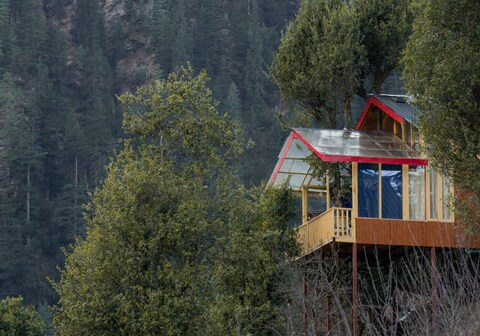Bastiat Stays | Enchanting Treehouse Sky Jacuzzi