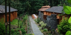 Blue Ginger Spa Resort, Wayanad Blue Ginger Spa Resort, Wayanad