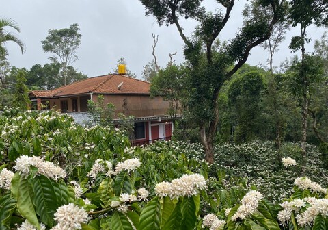 BrindleBerry 1BH Mountain View Studio Room