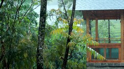Misty Mountain Plantation Resort Kuttikanam, Peermade, Kottayam Misty Mountain Plantation Resort Kuttikanam, Peermade, Kottayam