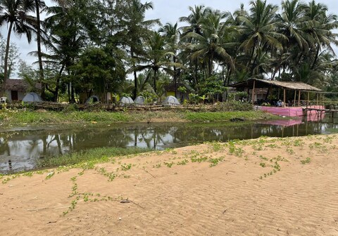Absolute Paradise.