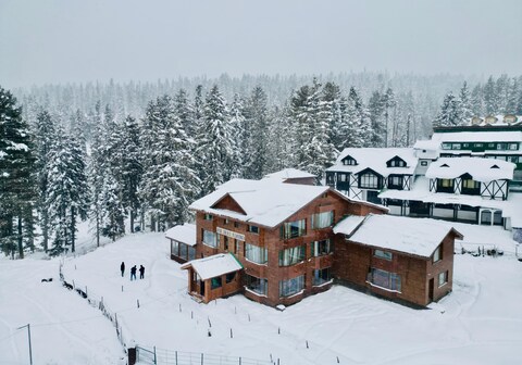 Pine Palace Platinum