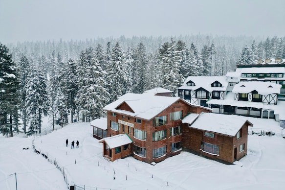 Pine Palace Platinum