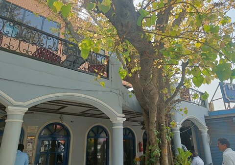 Maya Hotel and Restaurent