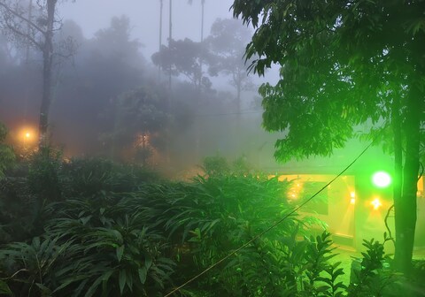 CLOUD HUGS COUPLES STAY Rooms Vagamon