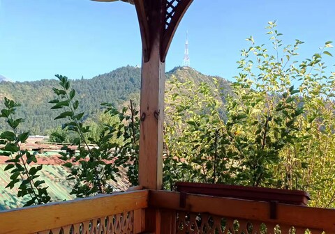 Water Chalet/Studio Apart near Dal Lake