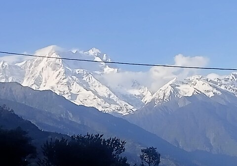 Jungle Runs In Homestay