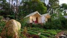 WOW Bison Woods, Yercaud WOW Bison Woods, Yercaud