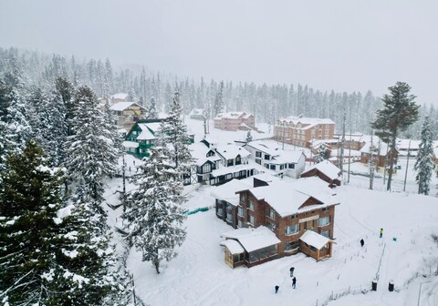 Pine Palace Platinum