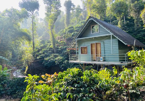 Falling Water Resort by Travent Mug