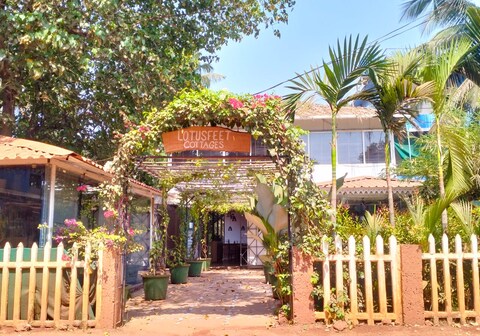 Lotusfeet Cottages