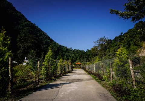 DREAM ADVENTURE ISLAND