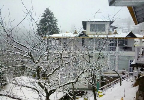 Te Aroha by Shervani