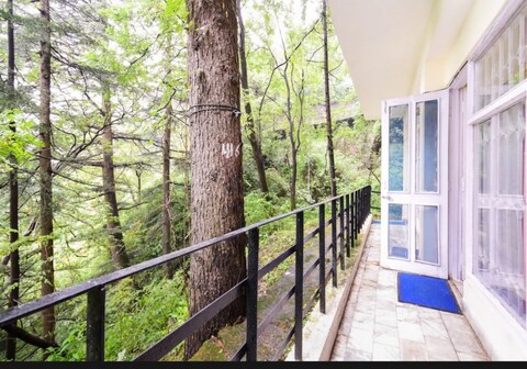 The forest view home