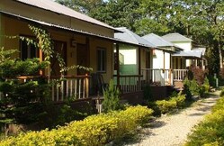 HOLONG ECO VILLAGE RESORT, Jaldapara HOLONG ECO VILLAGE RESORT, Jaldapara