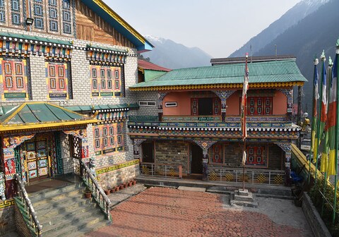 Delight The Fortuna Lachen