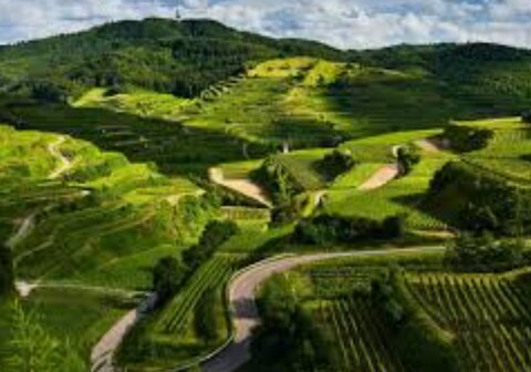 The Hosteller Bam Coorg