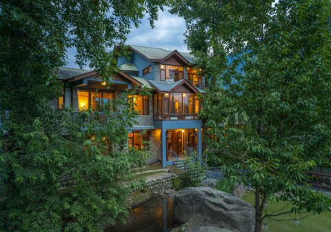 The Water Willow By Vanavya