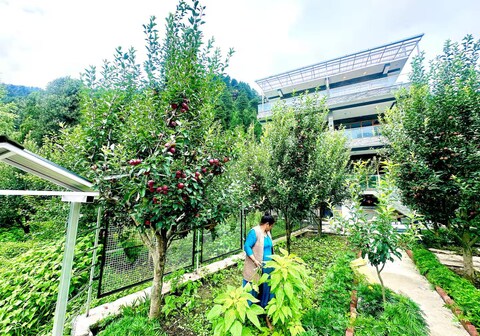 The Cedar Stone Apartment Manali