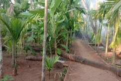 Anurag Family Cottage, Diveagar Anurag Family Cottage, Diveagar