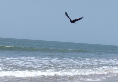 Sarvesh Arundekar Homestay in Beach Side