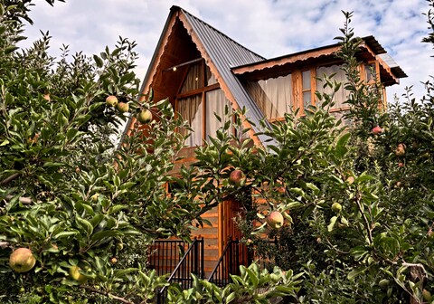 Applehill - One chalet and Endless Peace | Kasol