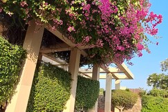 Entire Villa near Gurgaon, Manesar Entire Villa near Gurgaon, Manesar