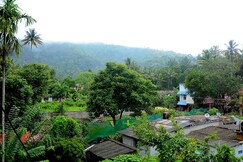 Spice Resto Homestay, Thekkady Spice Resto Homestay, Thekkady