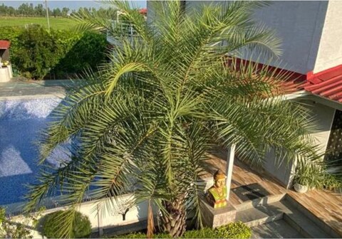 Shaw s 3Bhk Farm House For Staycation by GRB