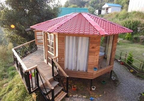 Chirpingi Birdz Resorts